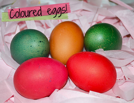 Coloured Eggs!